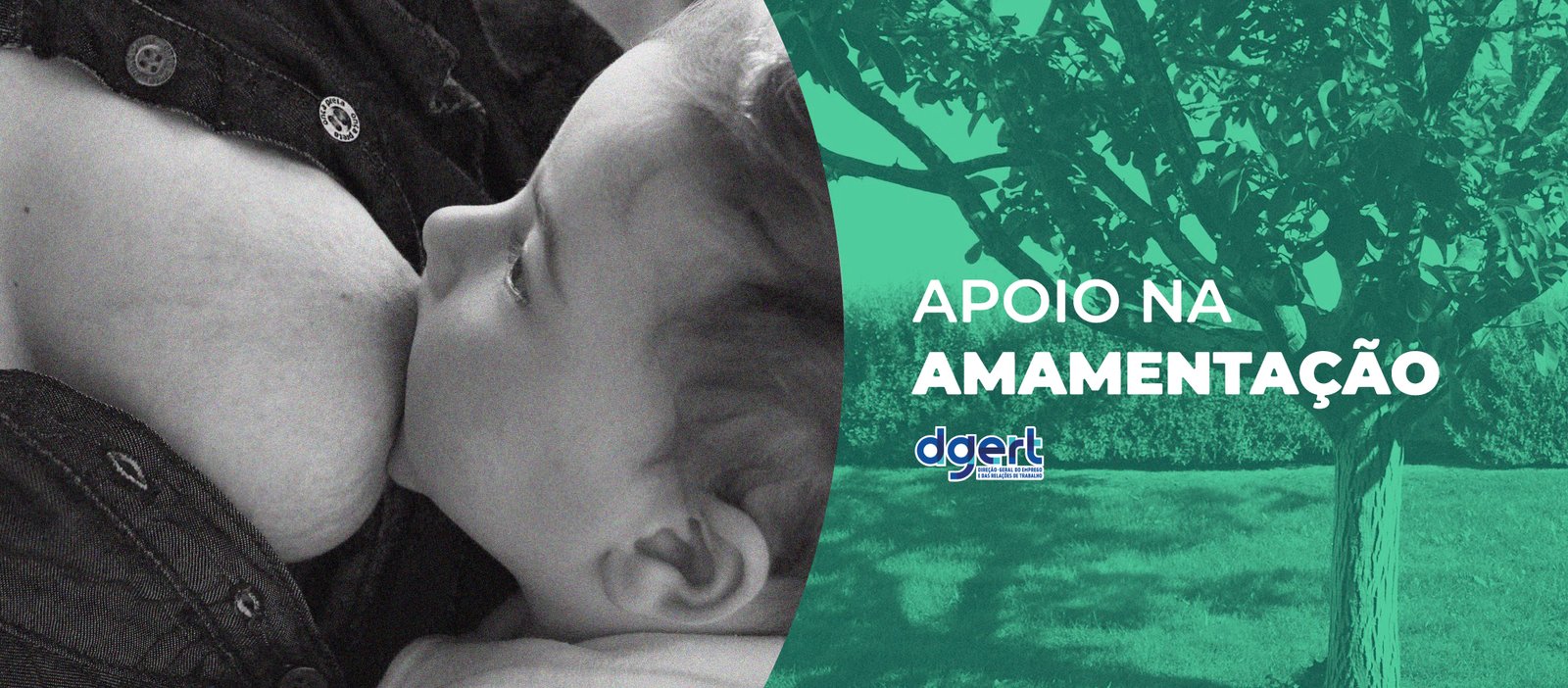 apoio na amamentação — casa da Árvore